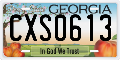 GA license plate CXS0613