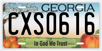 GA license plate CXS0616
