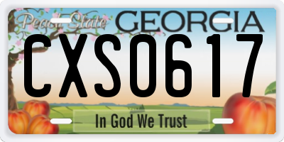 GA license plate CXS0617