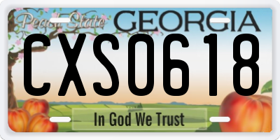 GA license plate CXS0618