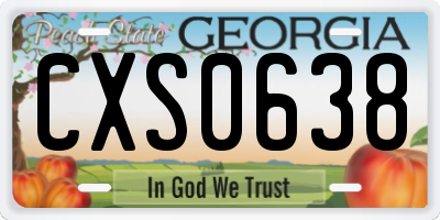 GA license plate CXS0638