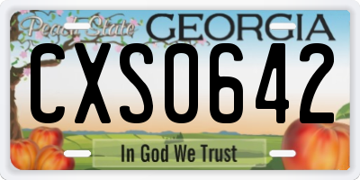 GA license plate CXS0642