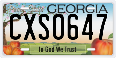 GA license plate CXS0647