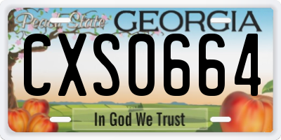 GA license plate CXS0664