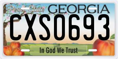 GA license plate CXS0693