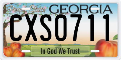 GA license plate CXS0711