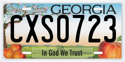 GA license plate CXS0723
