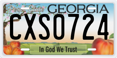 GA license plate CXS0724