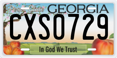 GA license plate CXS0729