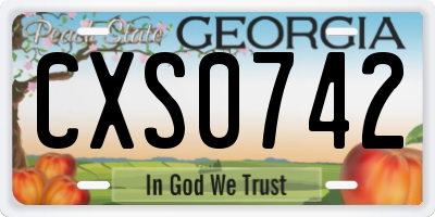 GA license plate CXS0742