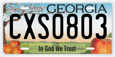 GA license plate CXS0803