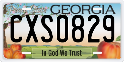 GA license plate CXS0829