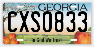 GA license plate CXS0833