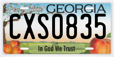 GA license plate CXS0835