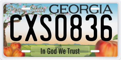 GA license plate CXS0836