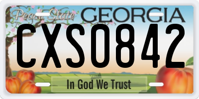 GA license plate CXS0842
