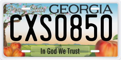 GA license plate CXS0850