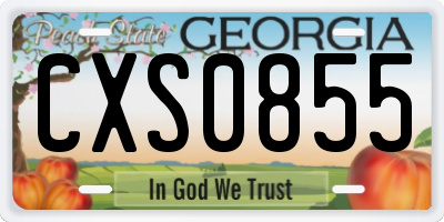 GA license plate CXS0855