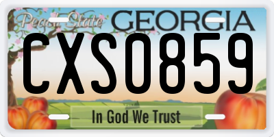 GA license plate CXS0859
