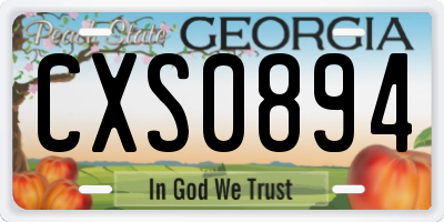 GA license plate CXS0894