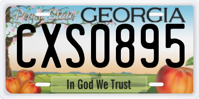 GA license plate CXS0895