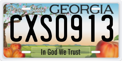 GA license plate CXS0913