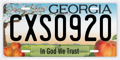 GA license plate CXS0920