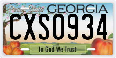 GA license plate CXS0934