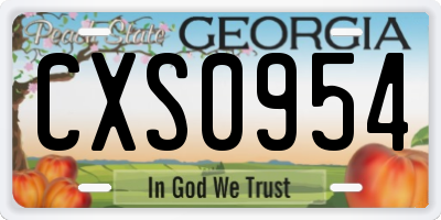 GA license plate CXS0954
