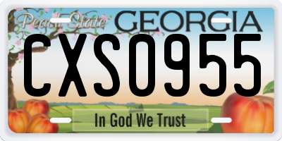 GA license plate CXS0955