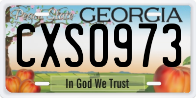 GA license plate CXS0973