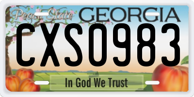 GA license plate CXS0983