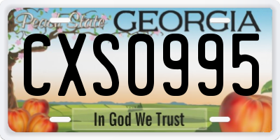 GA license plate CXS0995