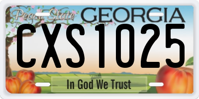 GA license plate CXS1025