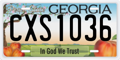 GA license plate CXS1036