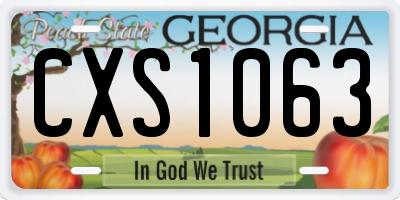 GA license plate CXS1063