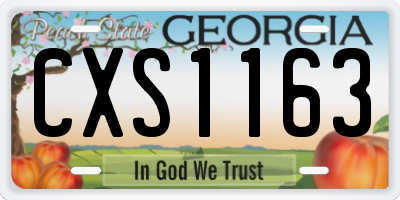 GA license plate CXS1163