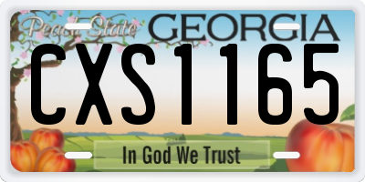 GA license plate CXS1165