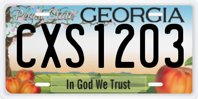 GA license plate CXS1203