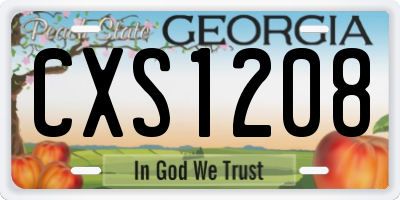 GA license plate CXS1208
