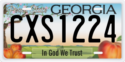 GA license plate CXS1224