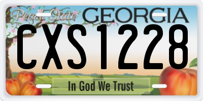 GA license plate CXS1228