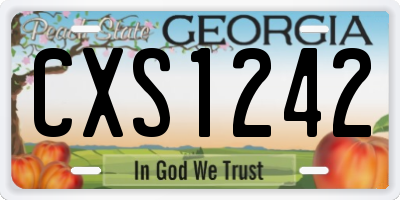 GA license plate CXS1242