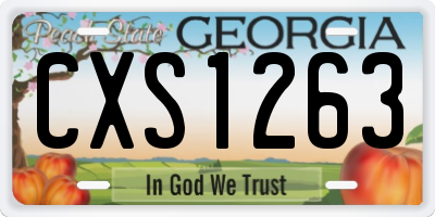 GA license plate CXS1263