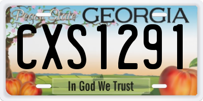 GA license plate CXS1291