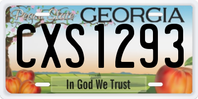 GA license plate CXS1293