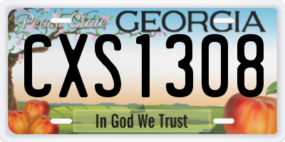 GA license plate CXS1308