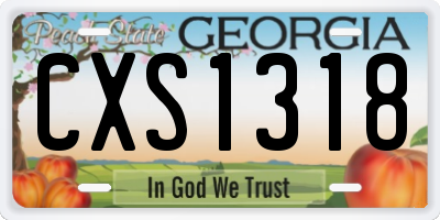 GA license plate CXS1318