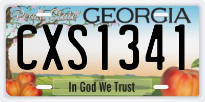 GA license plate CXS1341