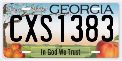 GA license plate CXS1383